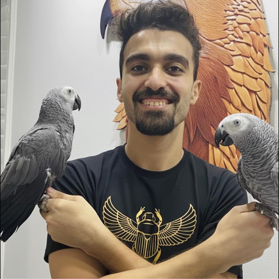 حل مشكلة فضلات الببغاوات في البيت 👌🦜. #ببغاء #ببغاوات #كاسكو #لوري # ...