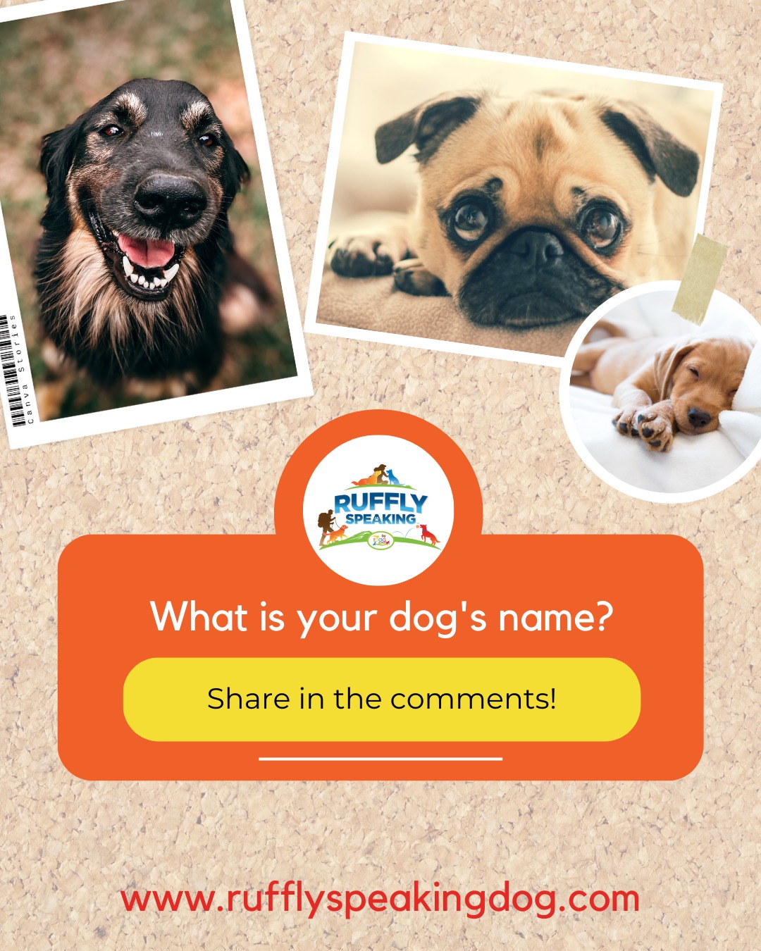 Ruffly Speaking - What's in a name? We want to know when...