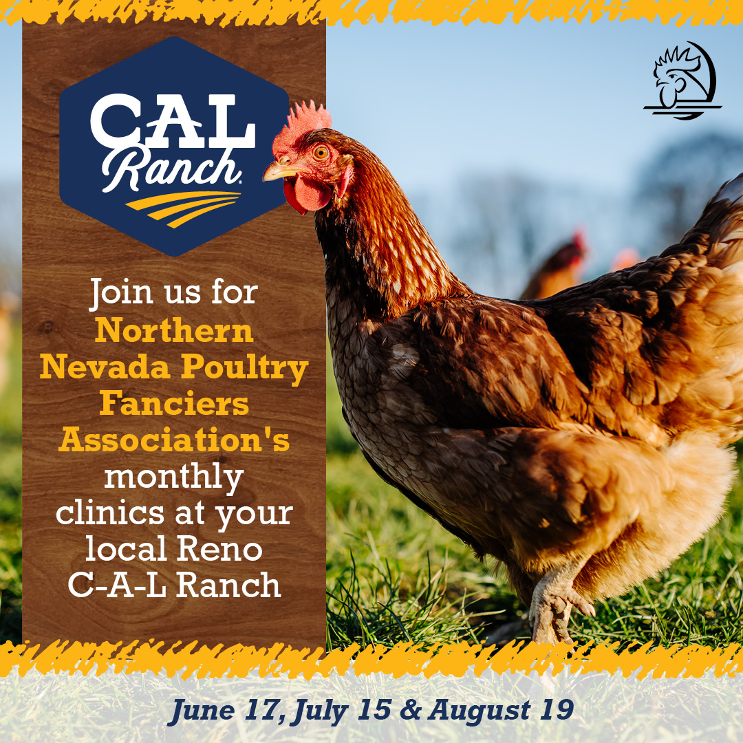 C-A-L Ranch Stores | Reno NV