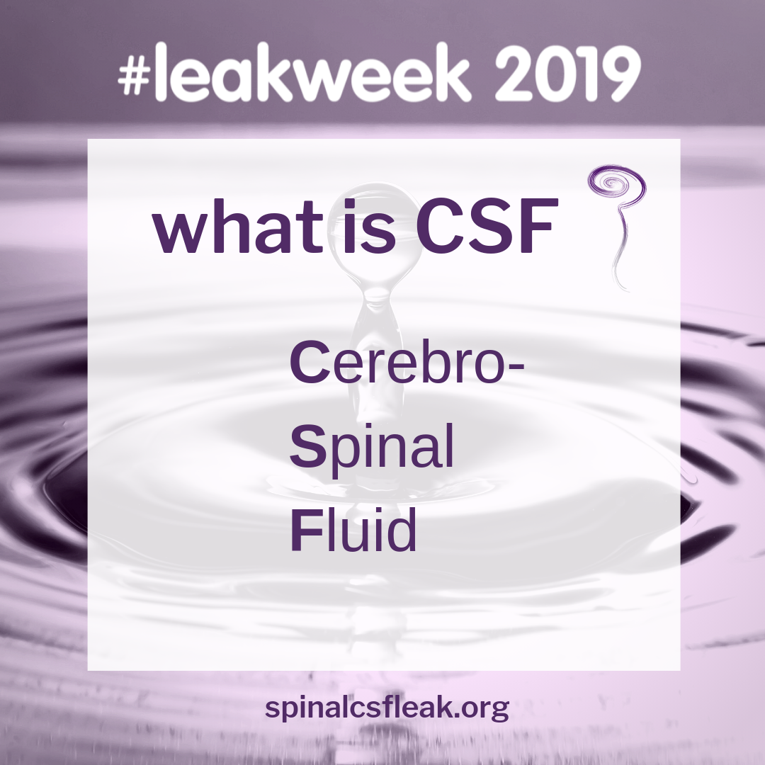 CSF = cerebrospinal fluid.... - Spinal CSF Leak Foundation | Facebook