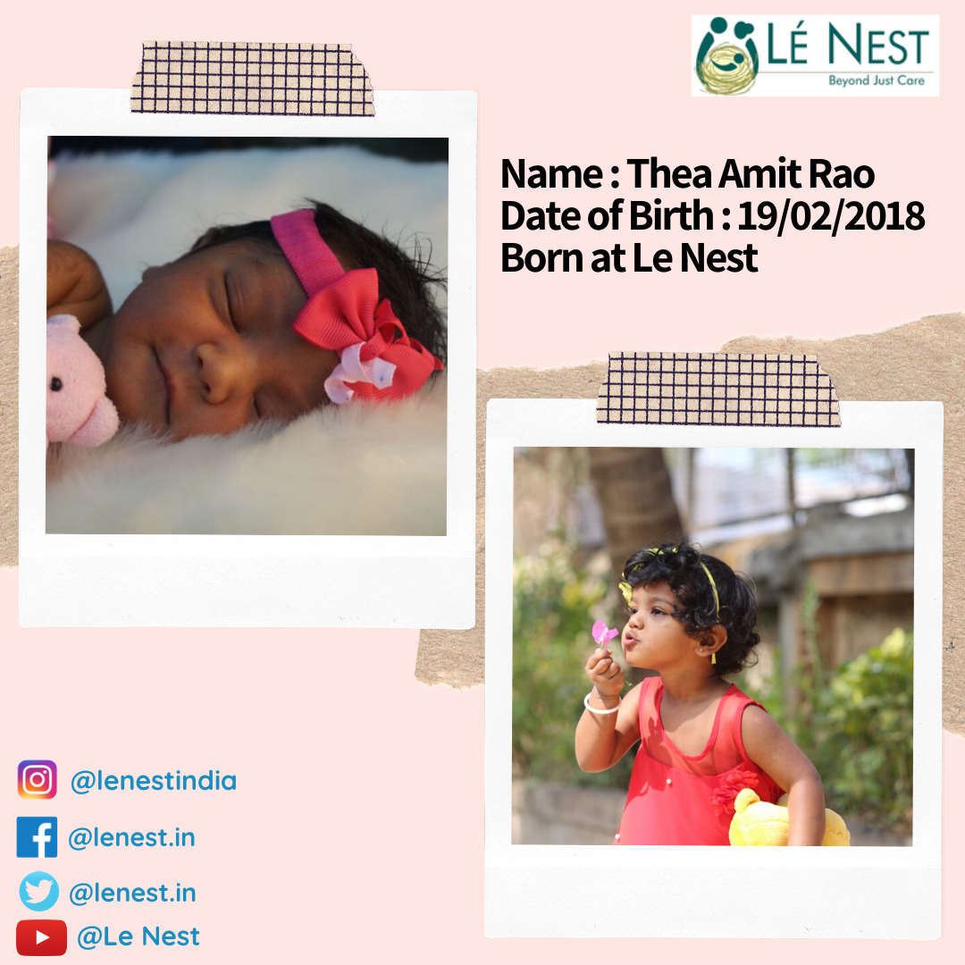 Le Nest - 