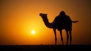 مسماريات | الهبيلة و هُبَل | Facebook