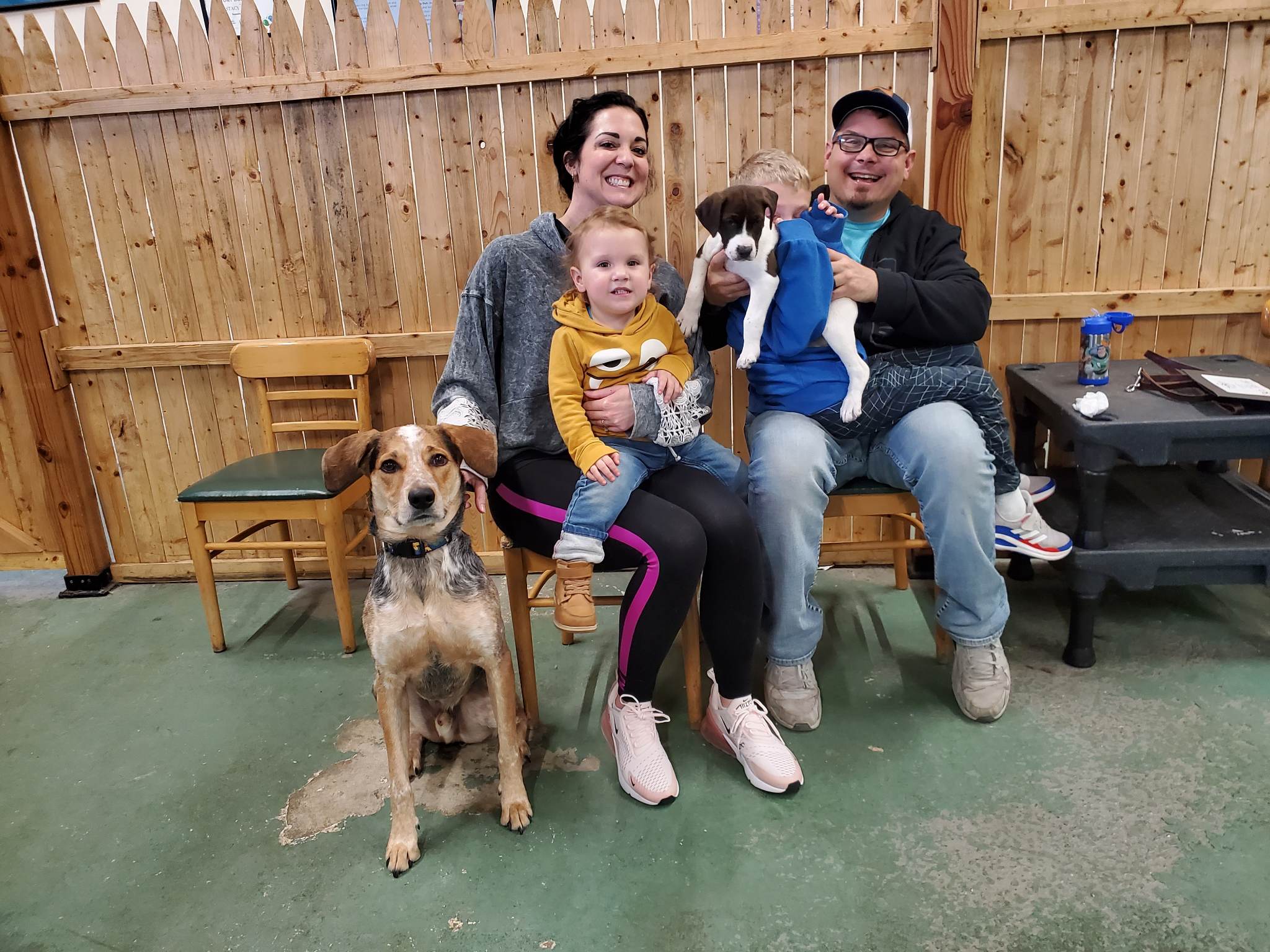 The first of the... - Project Hope Animal Rescue Foundation