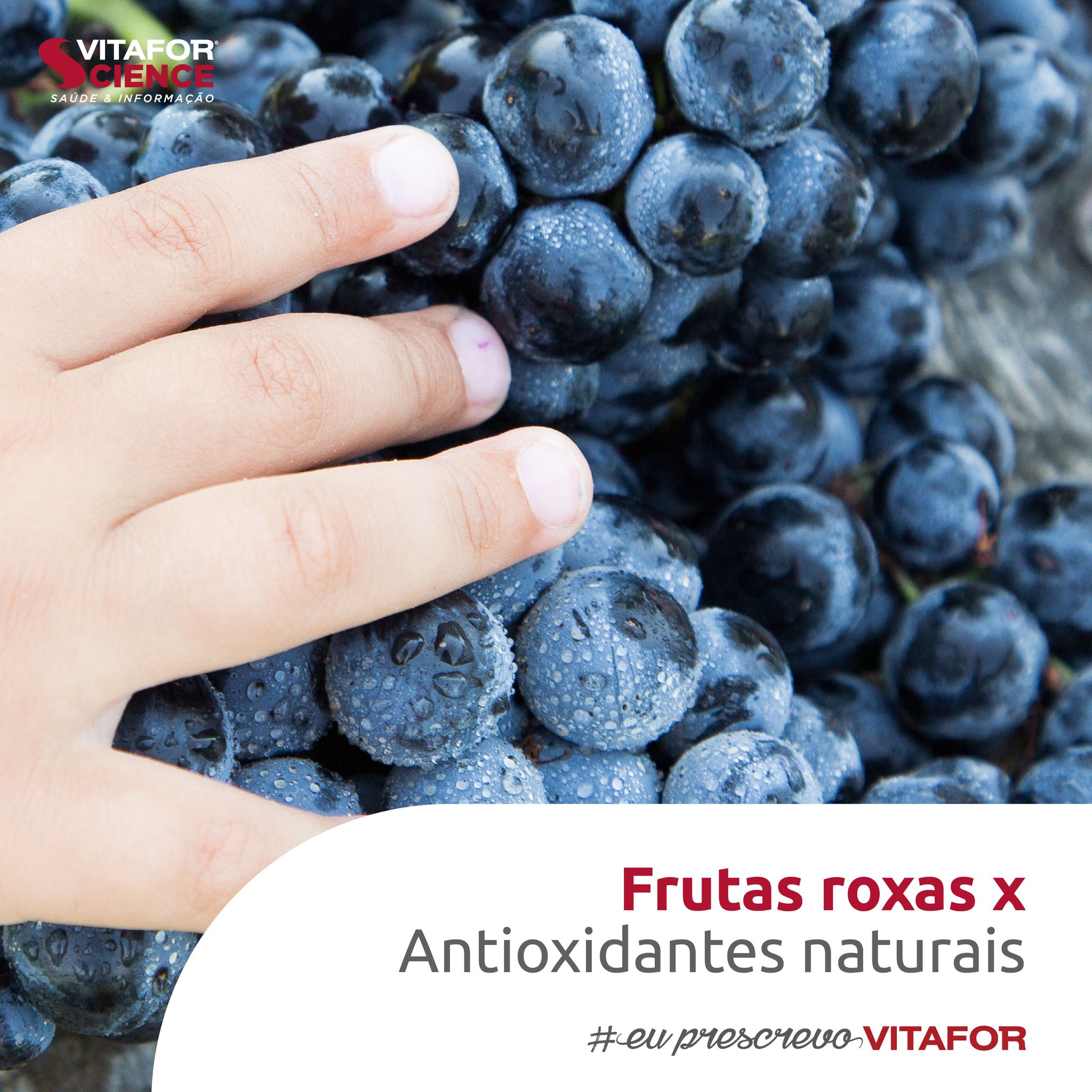 Vitafor Science - Frutas roxas como o açaí e a uva são opções ...