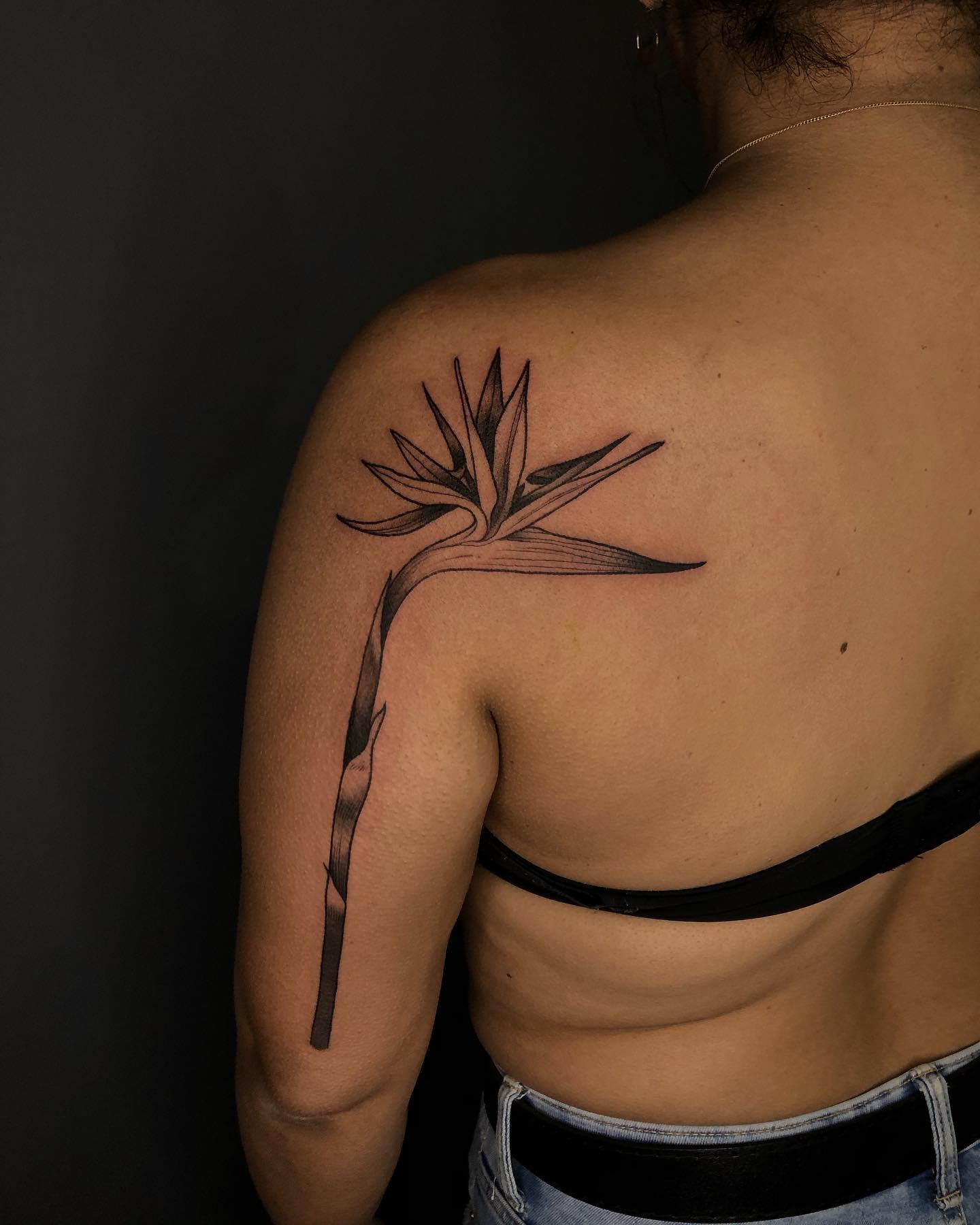 Tatouage Oiseau Du Paradis Fleur