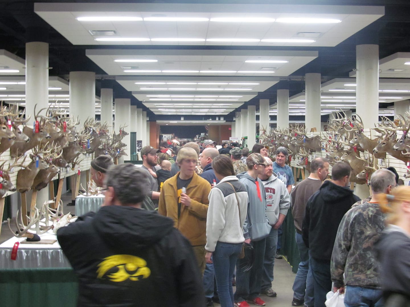 Iowa Taxidermy Association Home Facebook