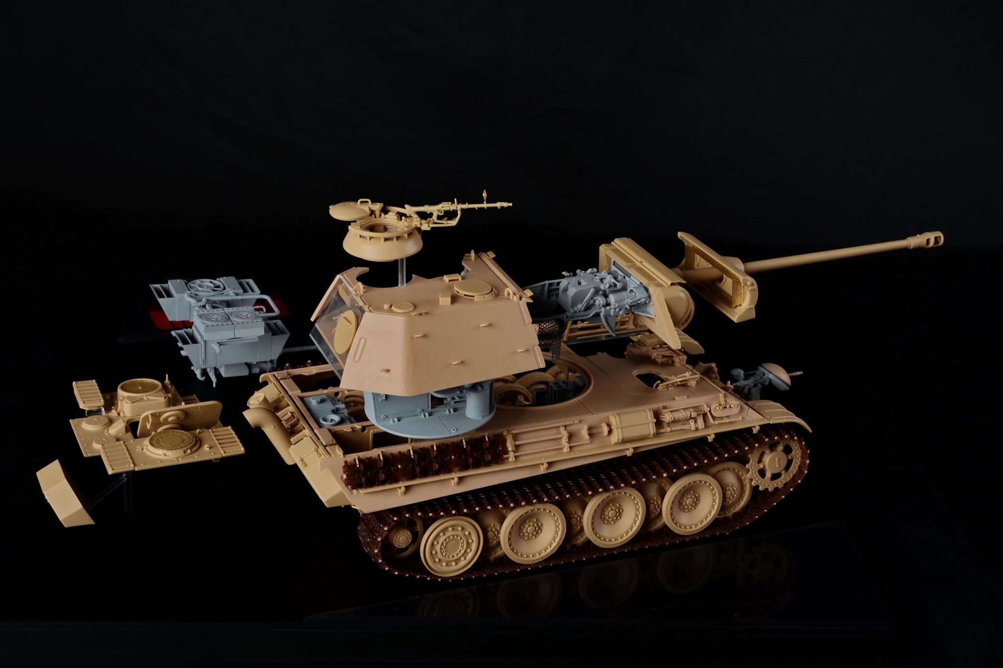 RYE FIELD MODEL - Amazing works on RM-5019 Panther G with...