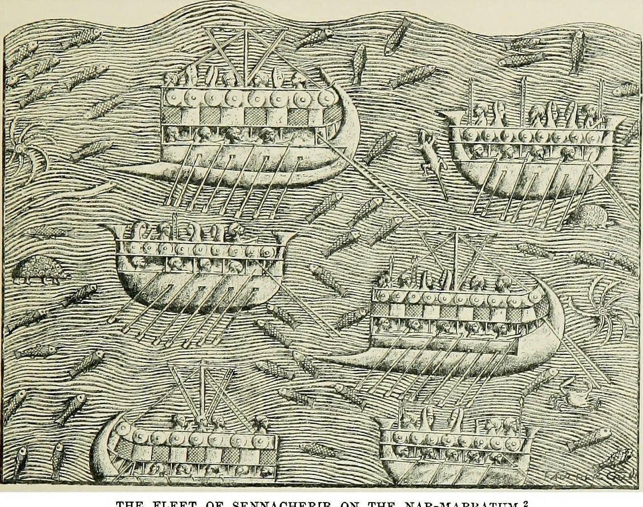 THE FLEET OP... - Bahrani History التَّارِيْخُ البَحْرَانيّ | Facebook