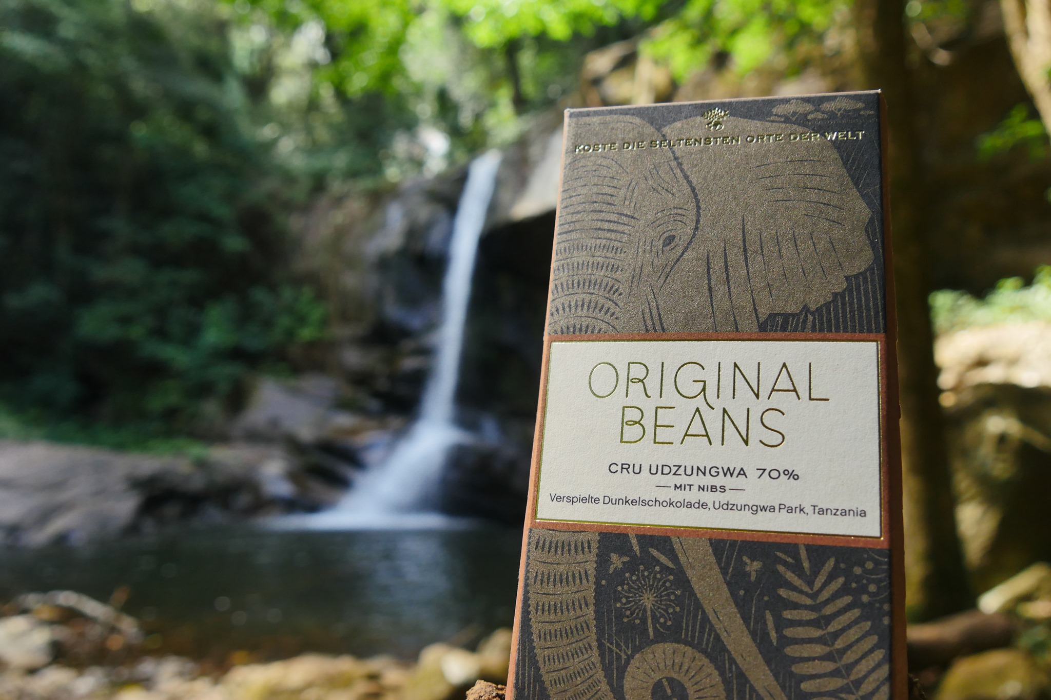 Original Beans Posts Facebook