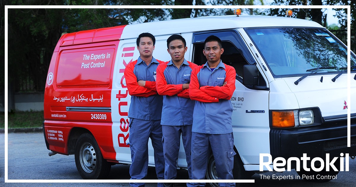 Rentokil Initial M Sdn Bhd Di Bandar Kuah