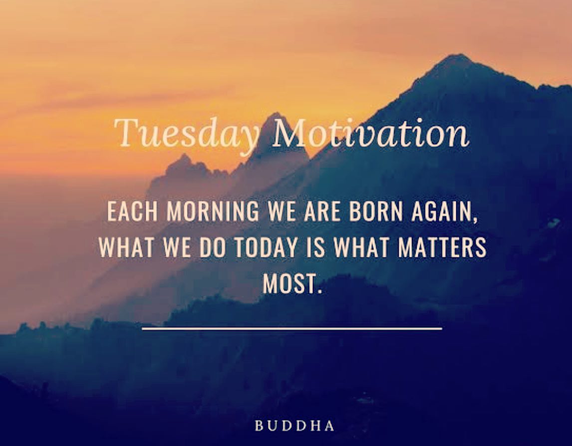 MQ Essentials - Happy Tuesday! It’s a brand new day