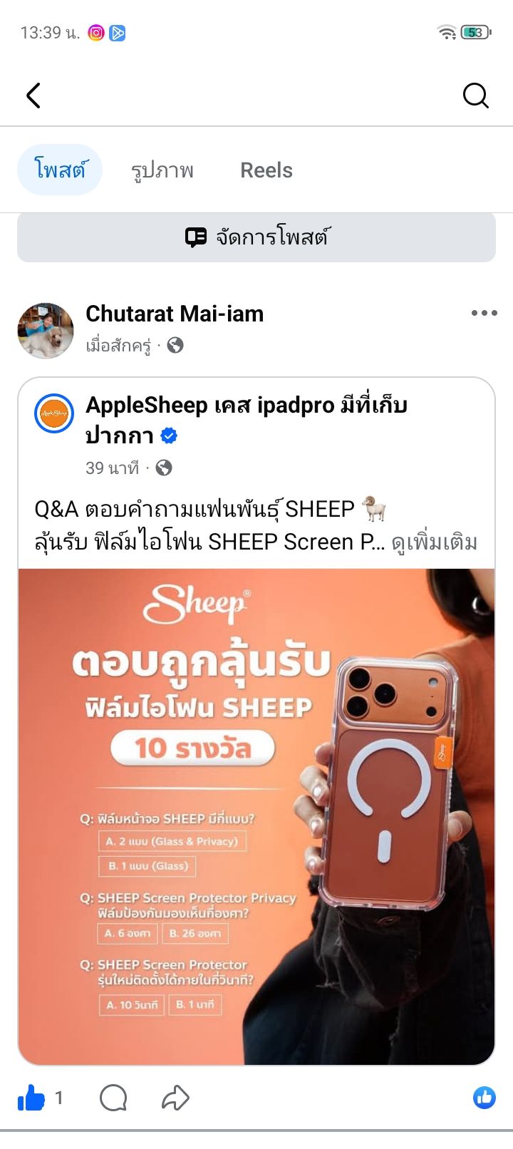 AppleSheep เคส... - AppleSheep เคส ipadpro มีที่เก็บปากกา