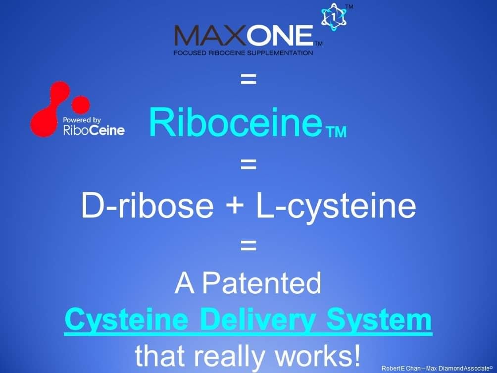 Glutathione Production