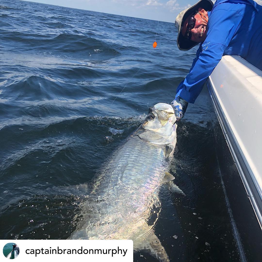 Reaper Rods - REPOST • @captainbrandonmurphy Today it blew but I found ...