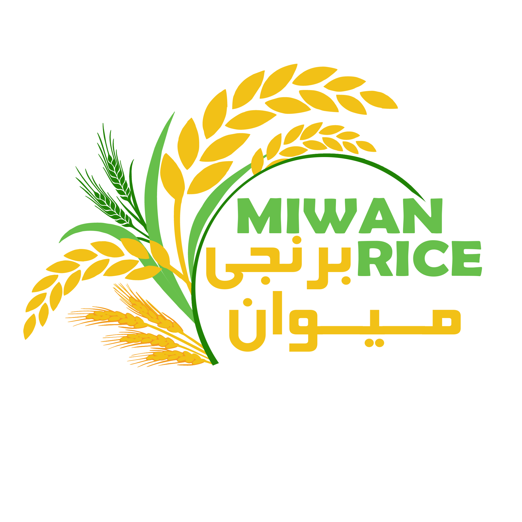 Miwan Rice :: برنجي ميوان | Irbil