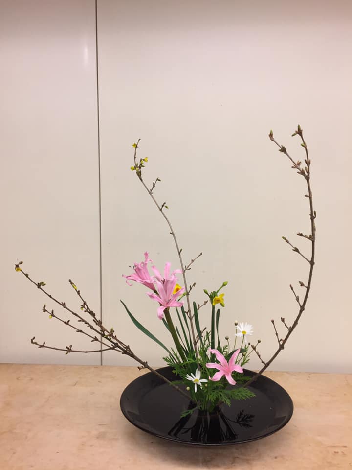 池坊 青木孝雄 いけばな教室 自由花 レンギョウ 水仙 ネリネ マーガレット 日々寒くなる季節ですが 一足先に春を感じるお花 暗い色になりがちな冬の中 目をリフレッシュできました 早春 Ikebana Facebook