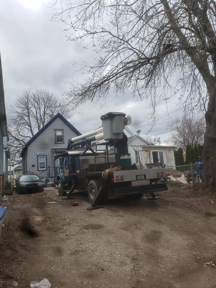 C M Tree Services LLC