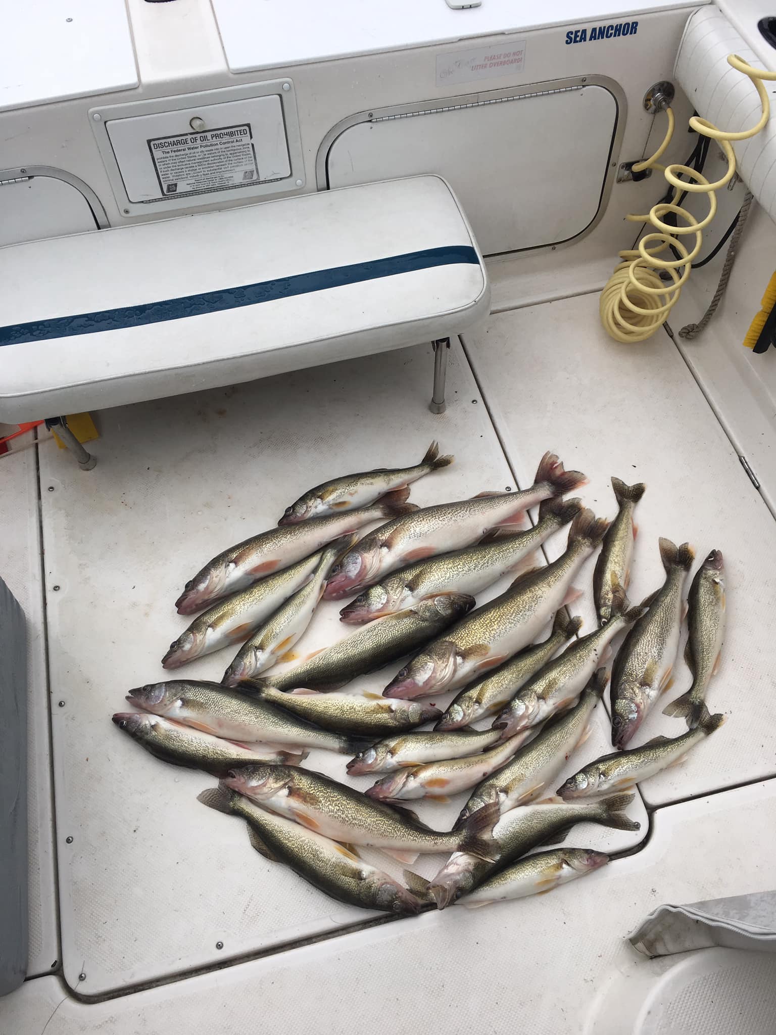 The Fish Fly Charters added a new... - The Fish Fly Charters