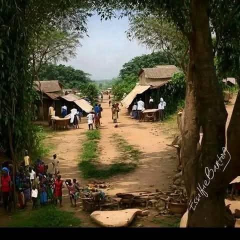 Lwazi Ka Sipango