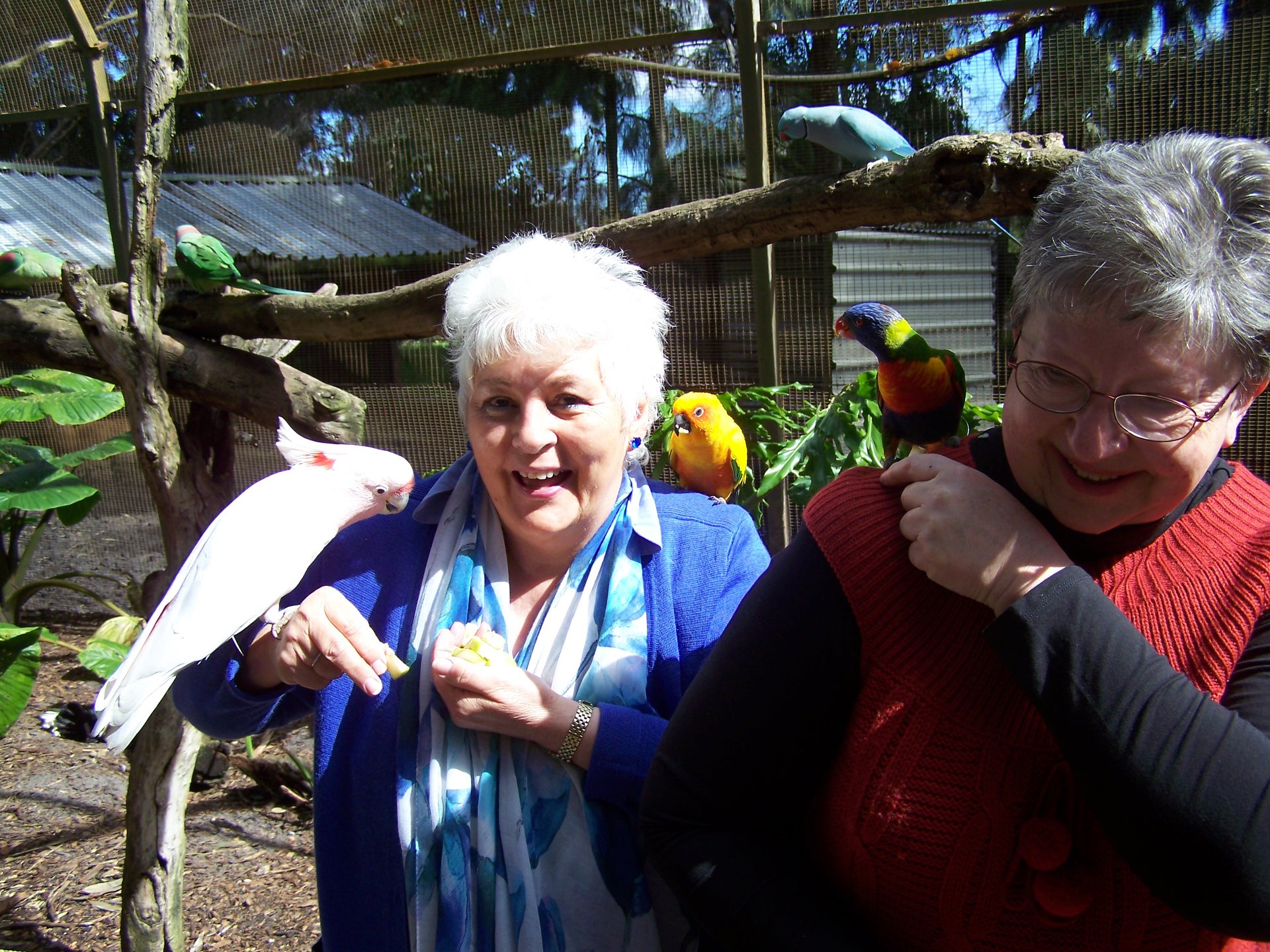 Curated visual reference: Walk Through Bird Exercise Systems With Waterfall Reference: Ranger Redz Zoo Our Huge Walk Through Bird Aviary Is