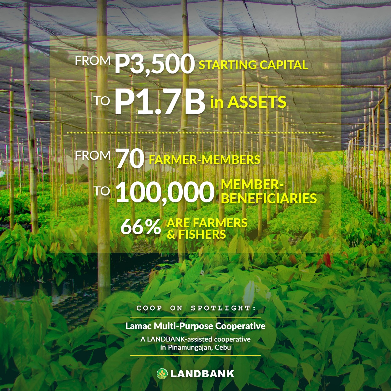 Land Bank of the Philippines - 40 years later, LMPC was able to turn a ...