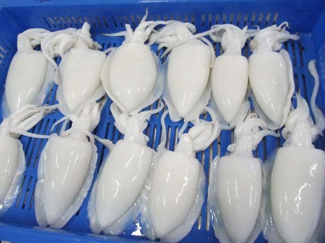 ZIA Fresh Fish Colombo | Wattala