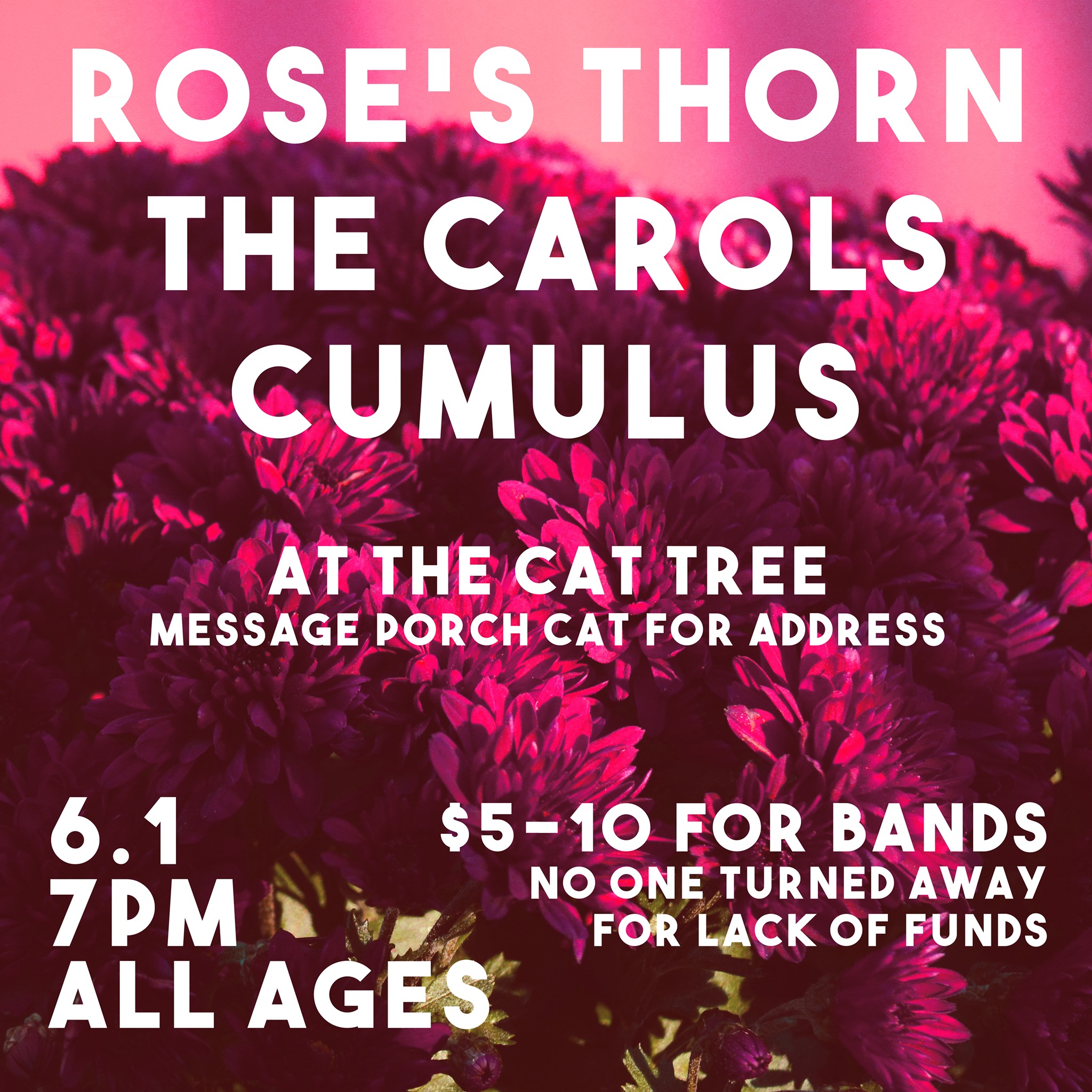 Cumulus — The Cat Tree, Bellingham (dm for address/released day of show), 2019-06-01