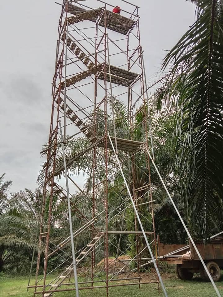 Projek meracun pokok kelapa sawit... - Aeros Geotech Sdn Bhd | Facebook