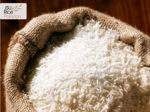 JSU Rice Pakistan | Karachi