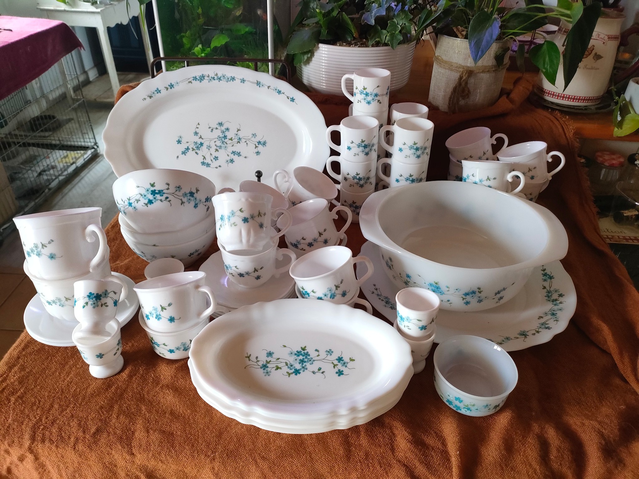 GRÄWE Lot de 10 petits bols en verre, diamètre