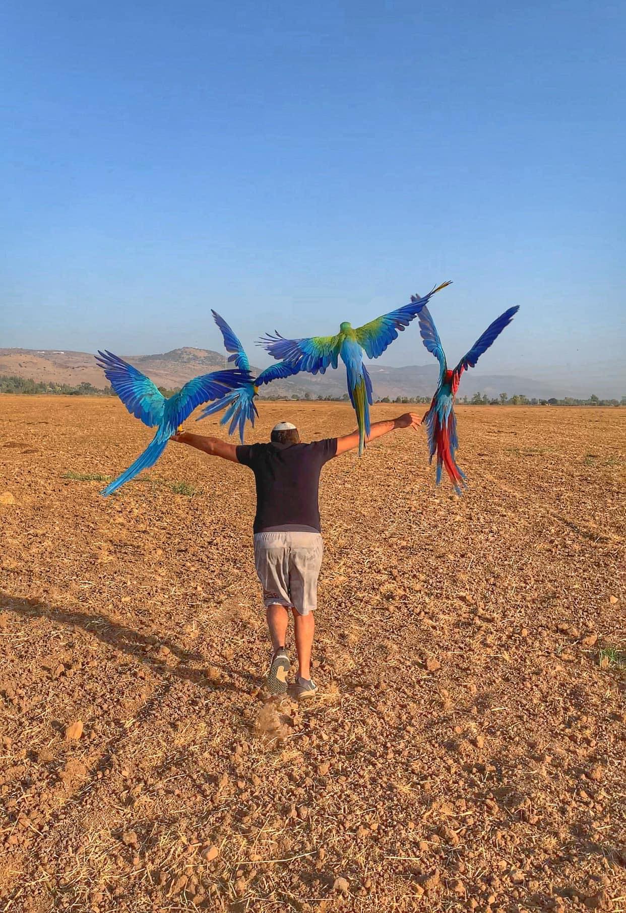 Israel Biton