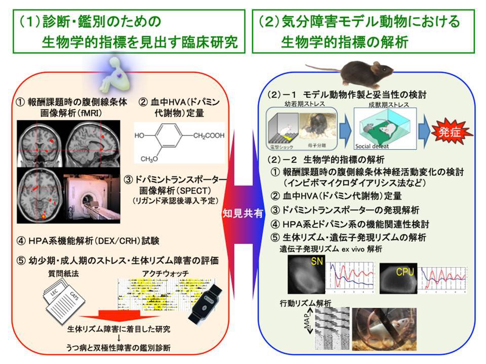 北海道大学大学院医学院精神医学教室 Photos Facebook