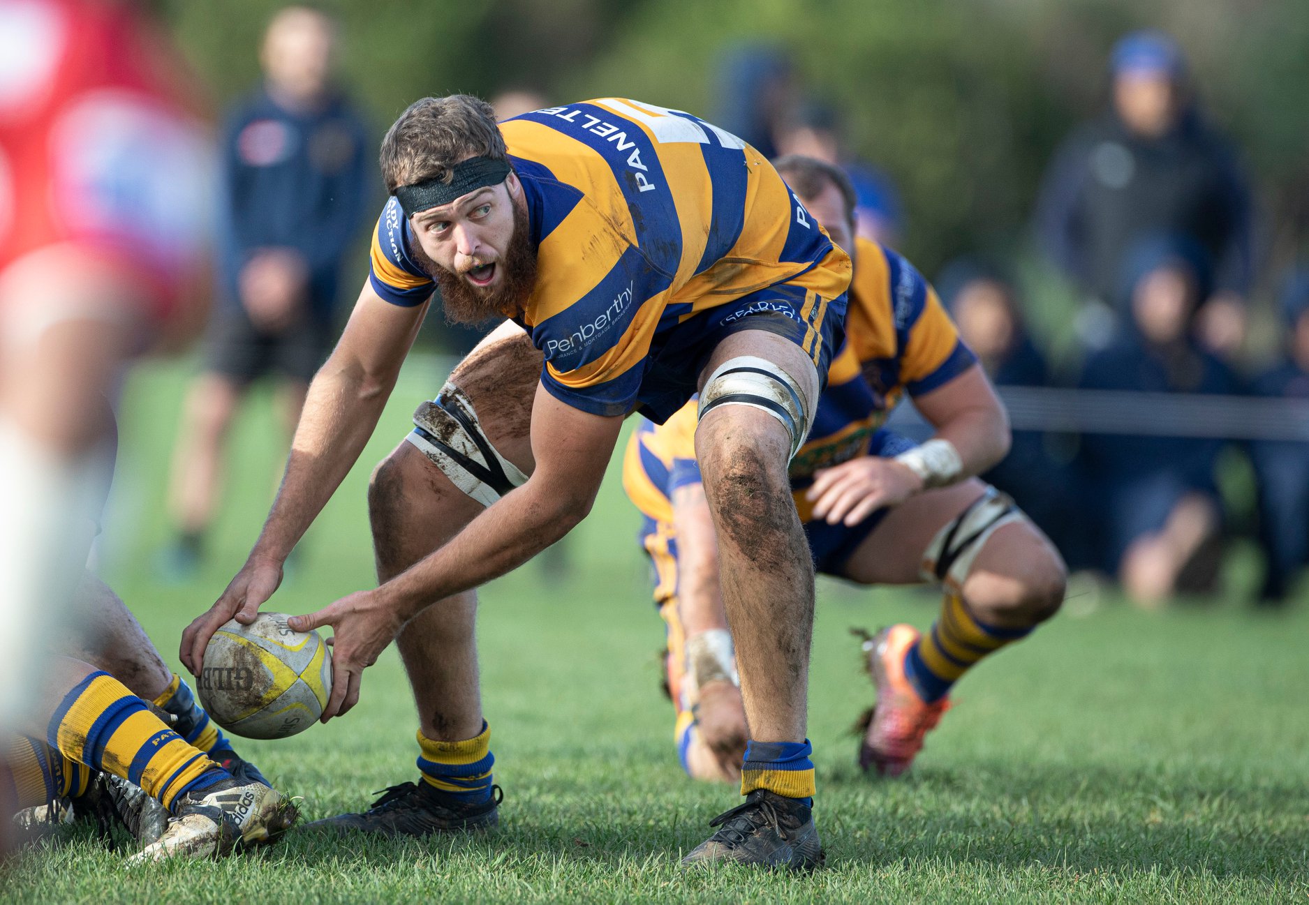 Patumahoe - Lock William Furniss plays halfback for Patumahoe a t a ...