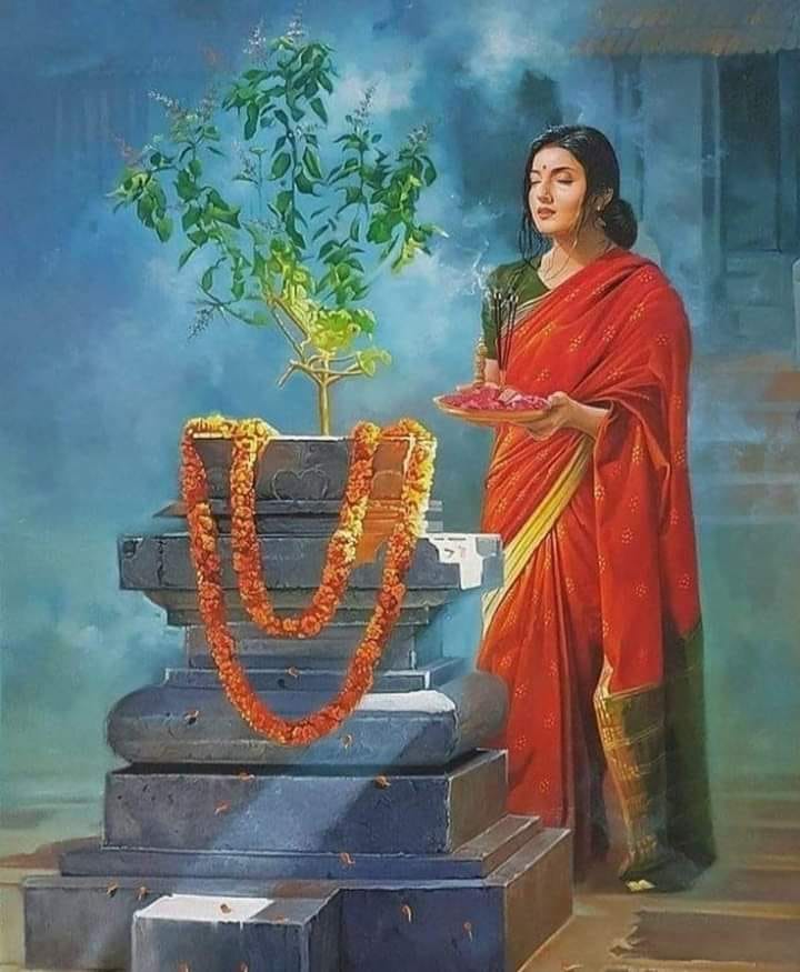 Save - The 'Tulsi' plant or Indian basil is an important symbol in the ...