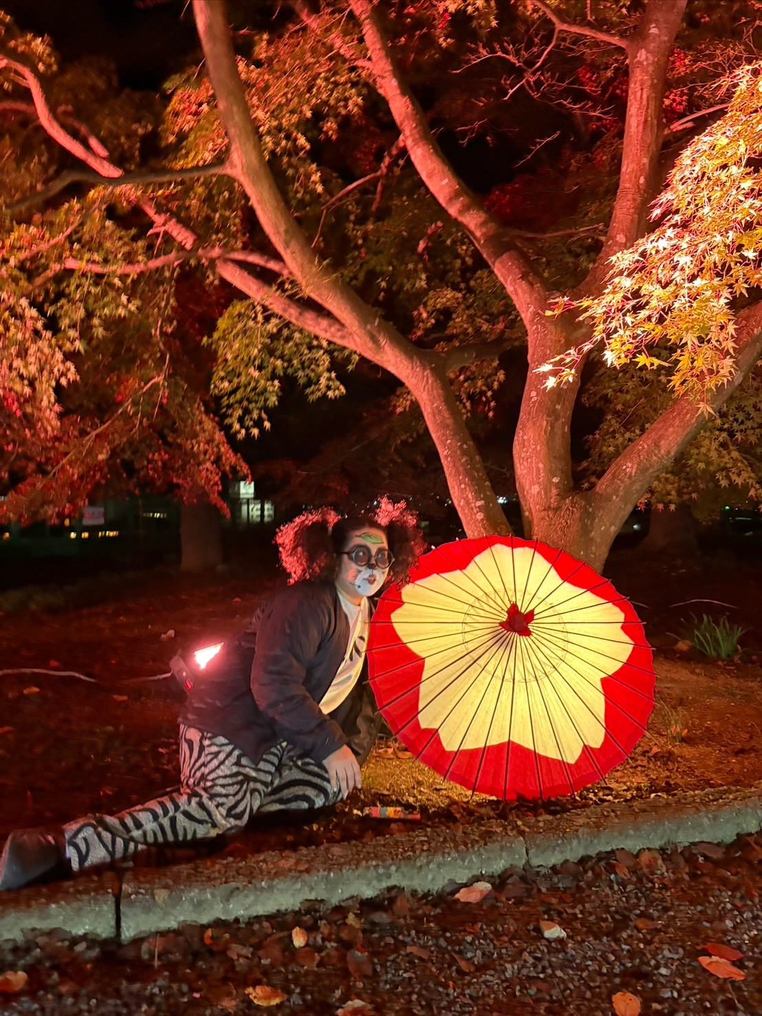 🍁たぬきと紅葉🍁 #もみじまつり #津山城 #たぬきの側転 #主婦の日常