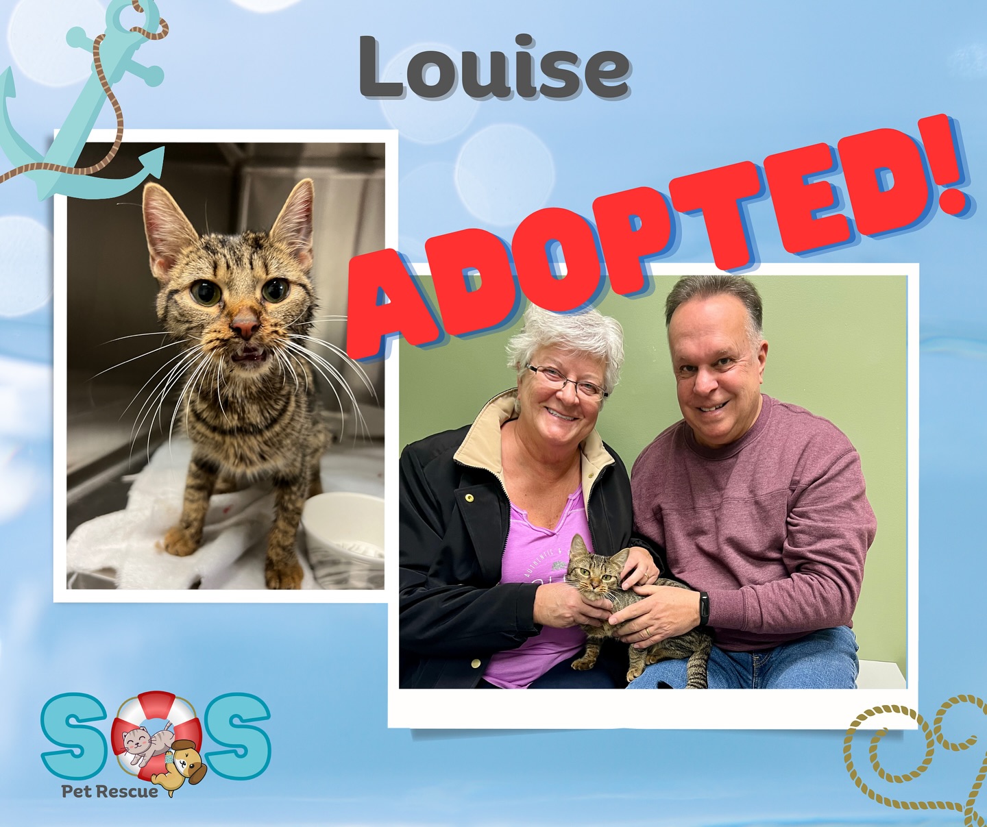 SOS Pet Rescue - When Louise was found in Louise Moore...
