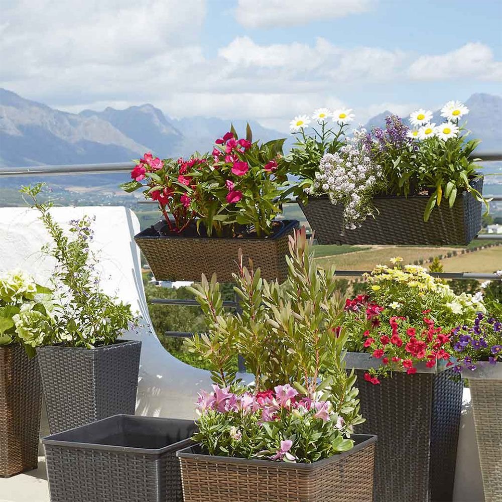 Flower pots from JYSK. Currently, I have 3 of them. Pick up at Stabu Street 58