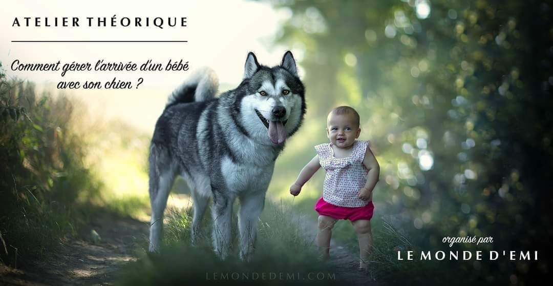 Le Monde D Emi Home Facebook