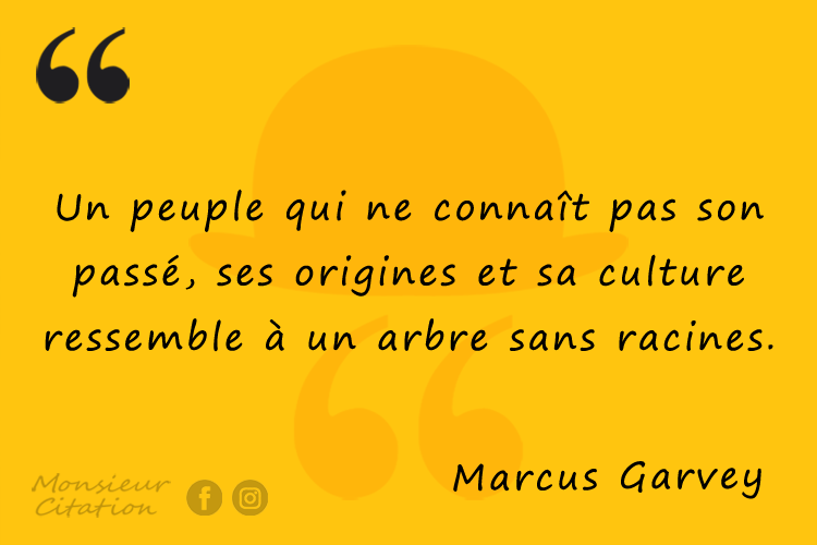 Monsieur Citation Posts Facebook