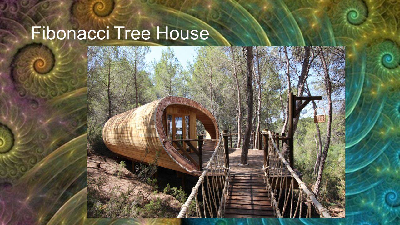 The Golden Ratio - Fun, modern treehouse is inspired by ‘Fibonacci ...
