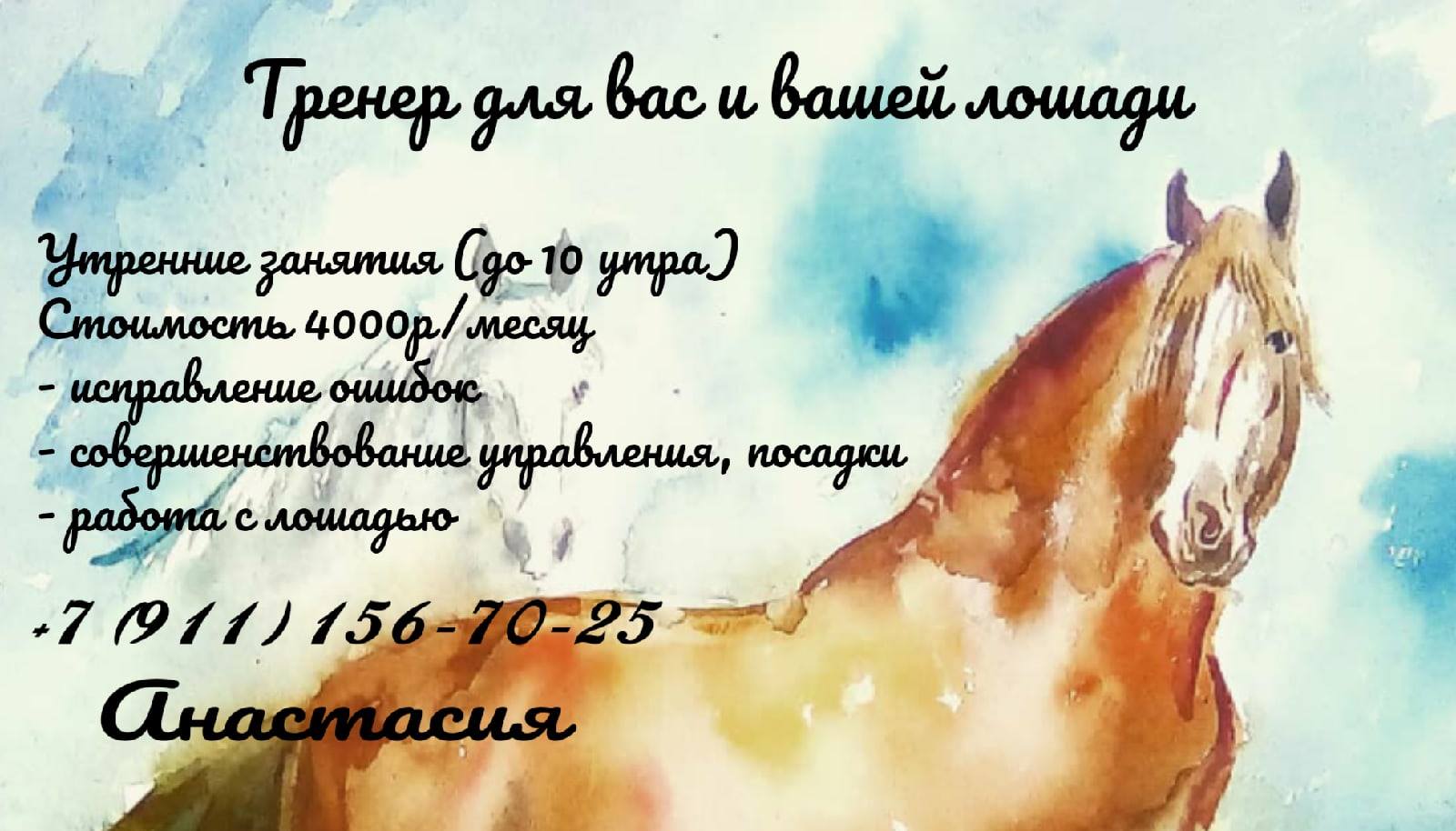 Открытка с днем тренера по конному спорту. Поздравление для тренера по конному спорту. С днем тренера лошади поздравления. Поздравление с днем рождения тренеру по конному спорту. С днем тренера конный спорт поздравления