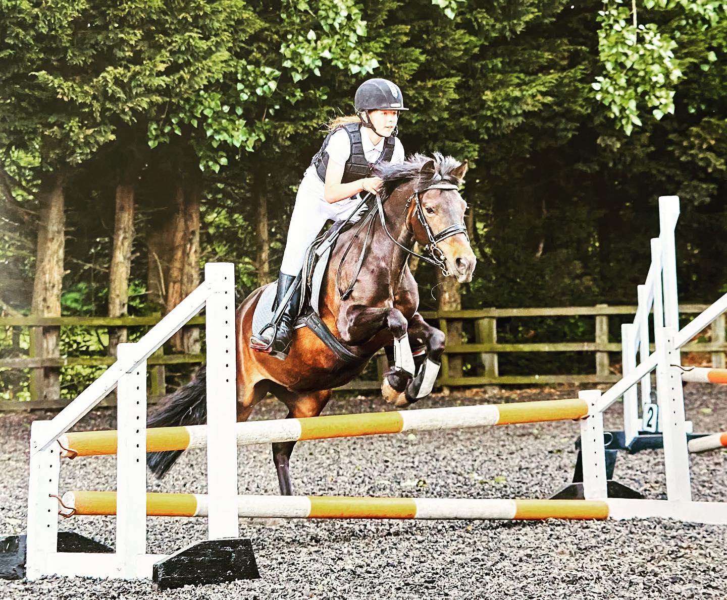 Willerby Hill Competition yard - Riding School | Kingston upon Hull