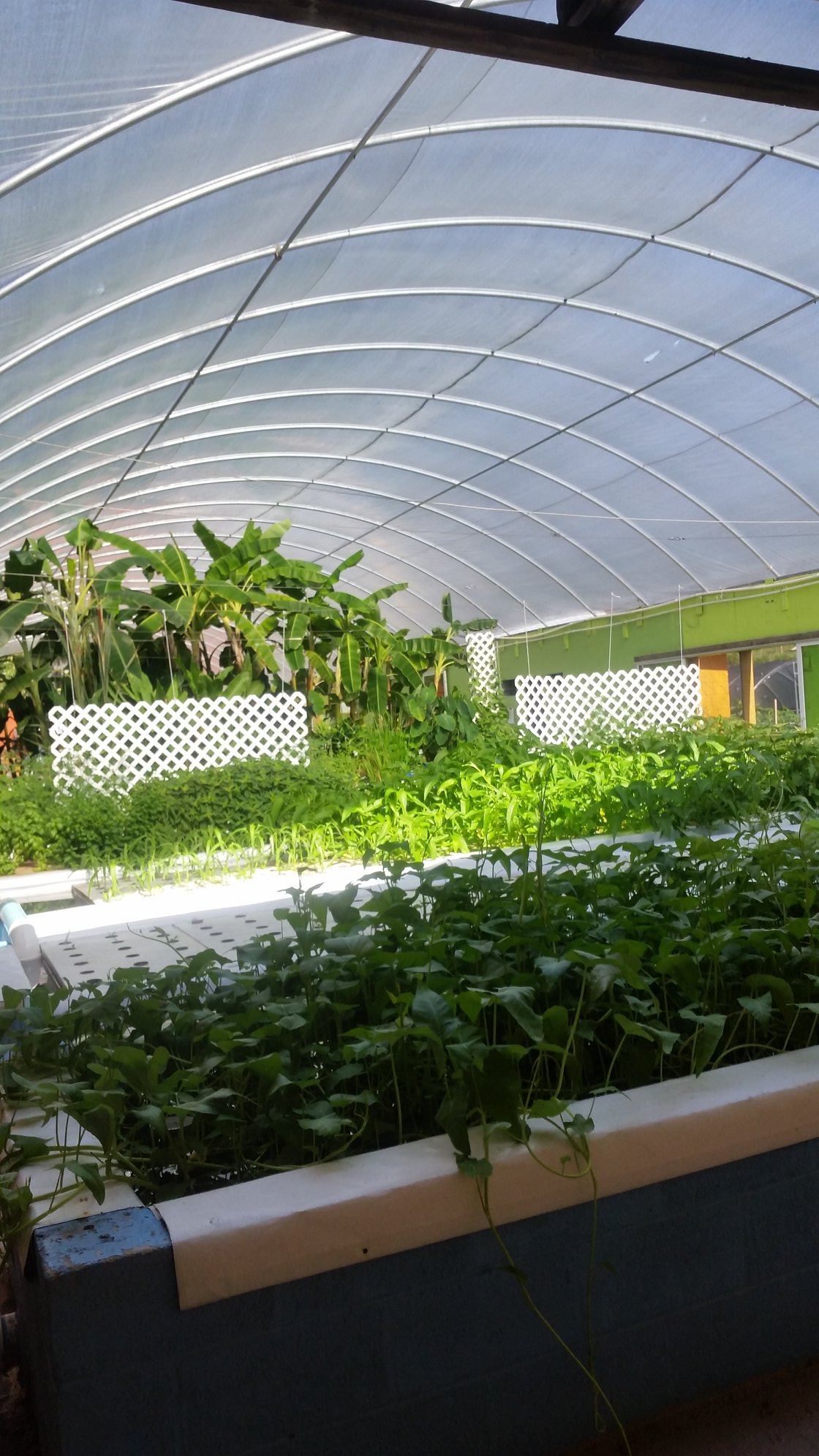 Taller Baños Ecologicos y BioConstruccion con Bahareque
