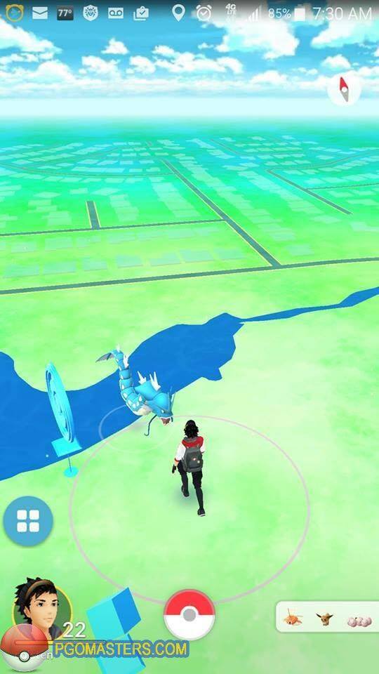 Pokemongofans