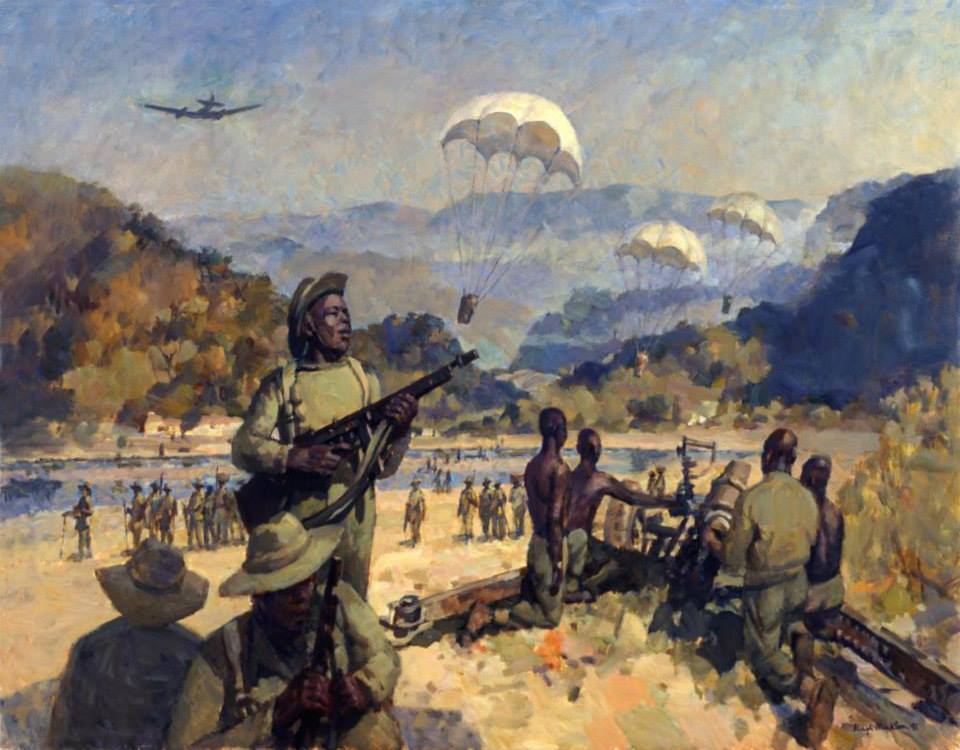 British & Commonwealth Forces - Troops of the Royal West African ...