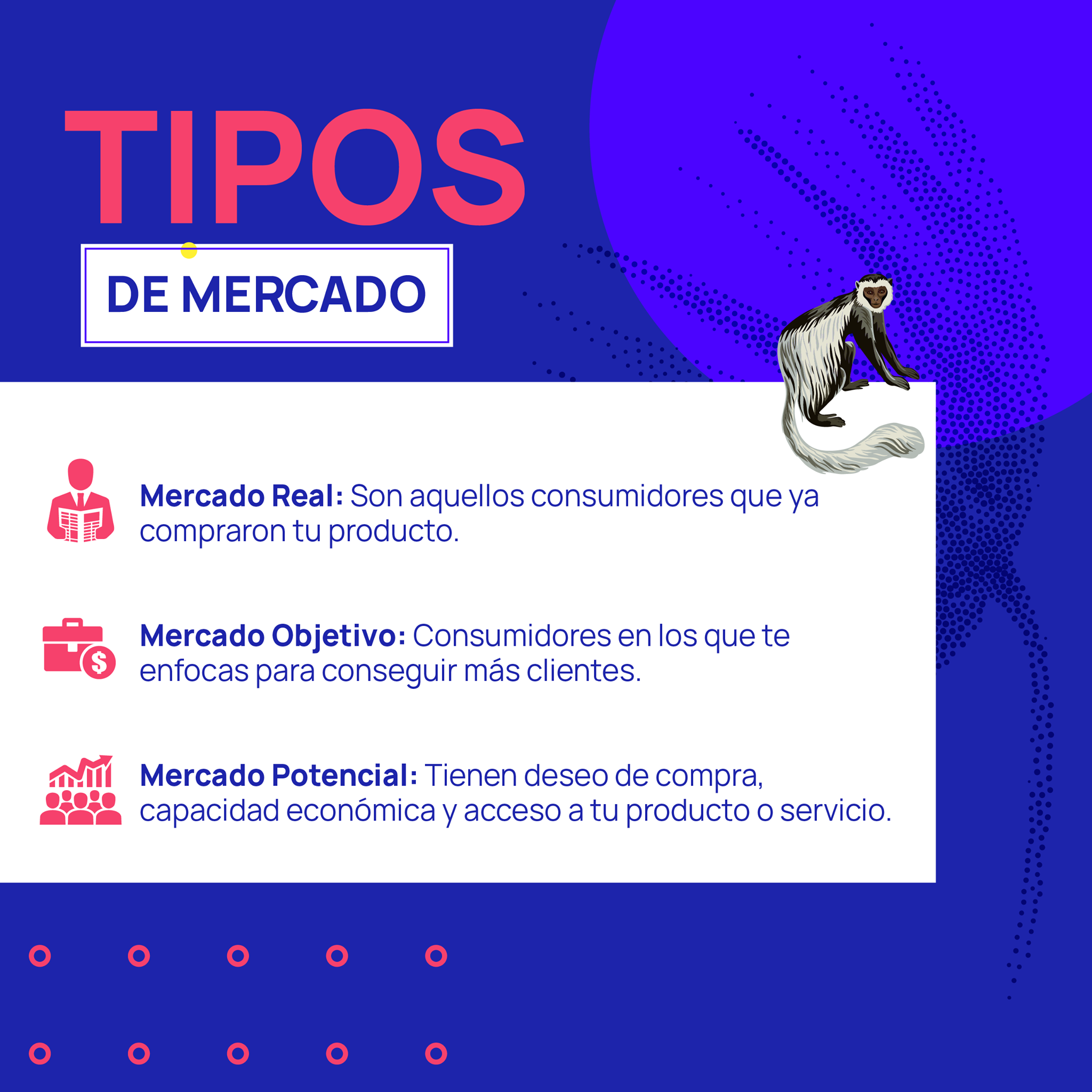 Conoce los... - Monkey Plus Agencia de Marketing Digital
