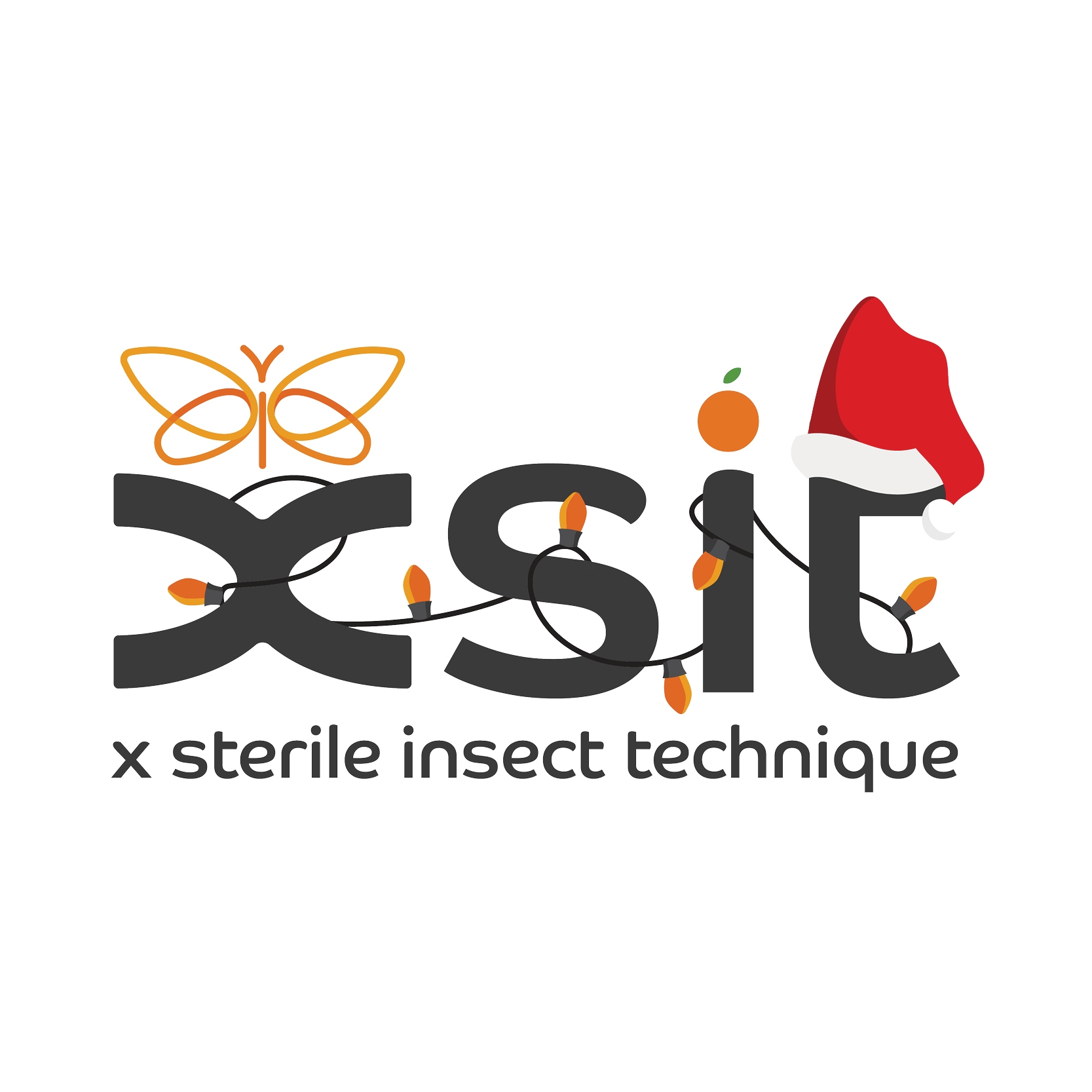 XSIT | Citrusdal
