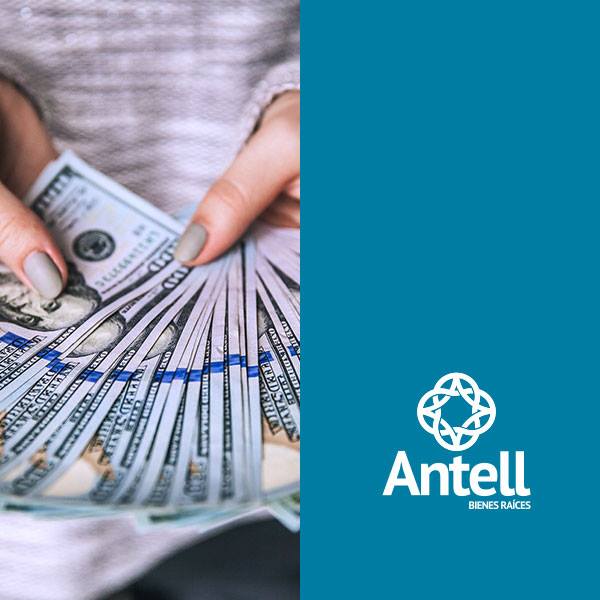 Antell - Te presentamos los diferentes tipos de...