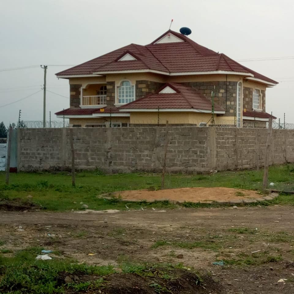 FREVA LTD