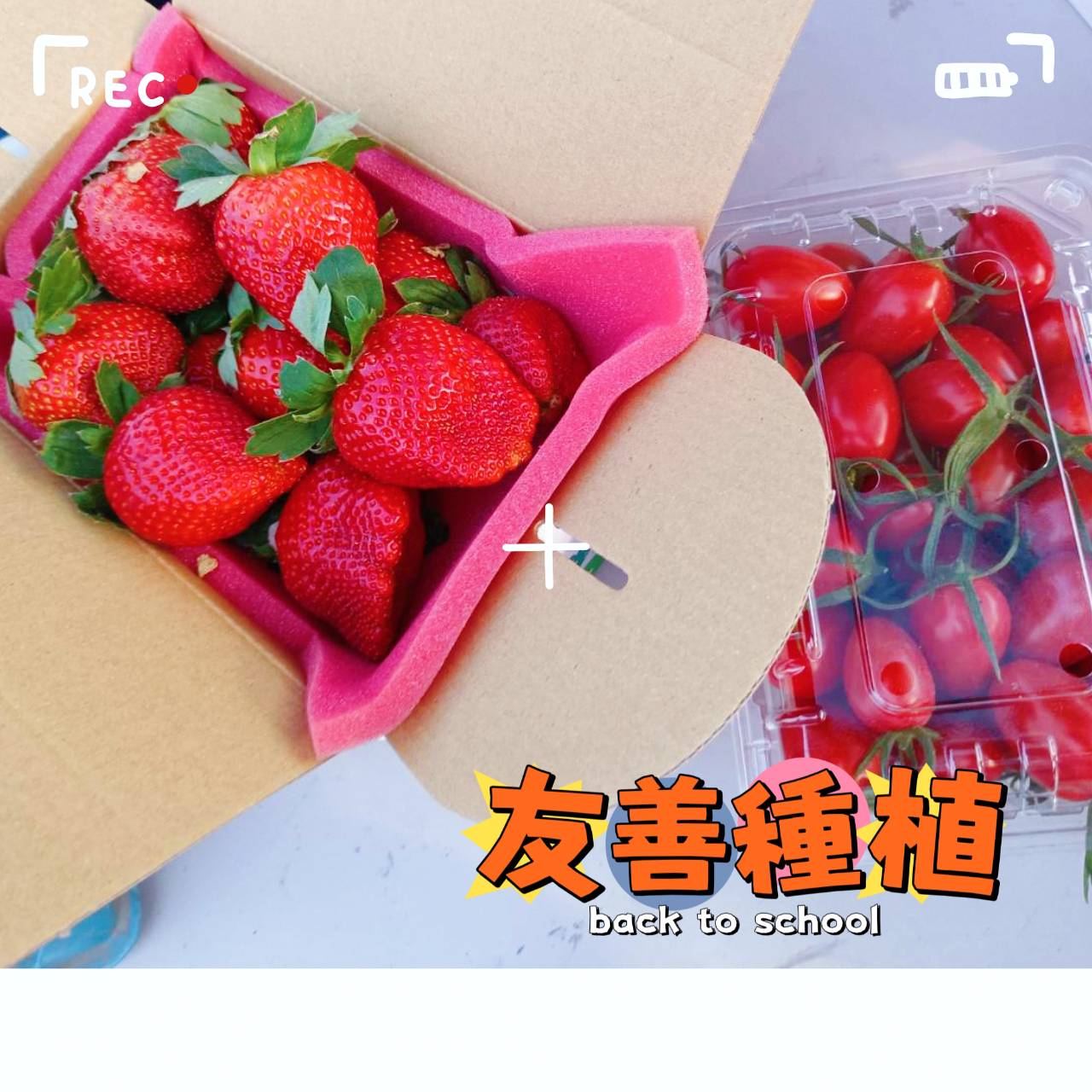 農場裡的呆子